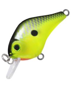 Chartreuse Shiner
