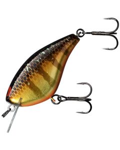Gold Gill