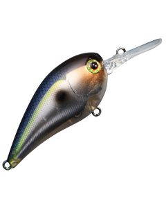 SG Threadfin Shad