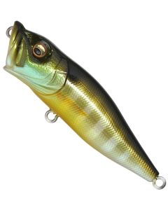 Gill