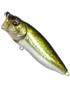 GG Bass