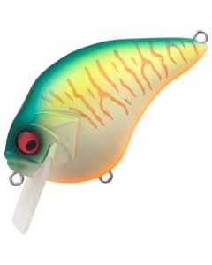 PM Megabass Hot Shad