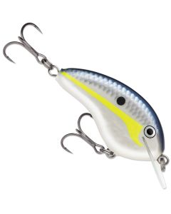 Helsinki Shad