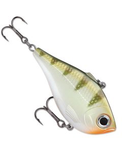 Yellow Perch