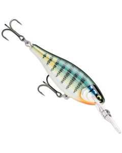 Gilded Blue Gill
