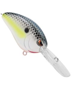 Nasty Shad