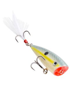 Sexy Shad (590)