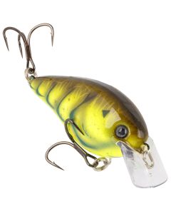 Summer Craw