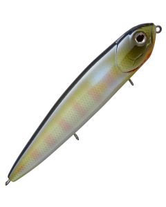 Bluegill
